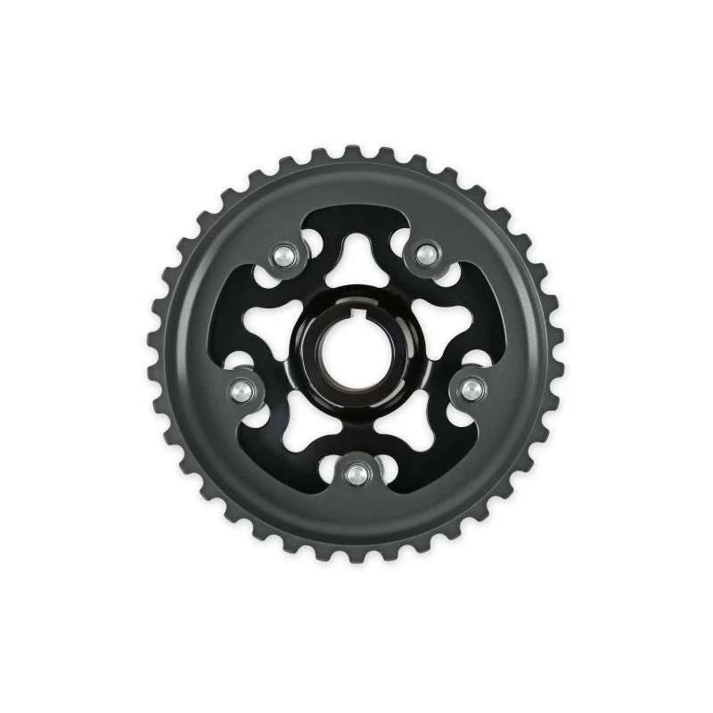 AEM 96-00 Honda Civic / 96-97 Honda Del Sol D16 Black Tru-Time Cam Gear - Image 6
