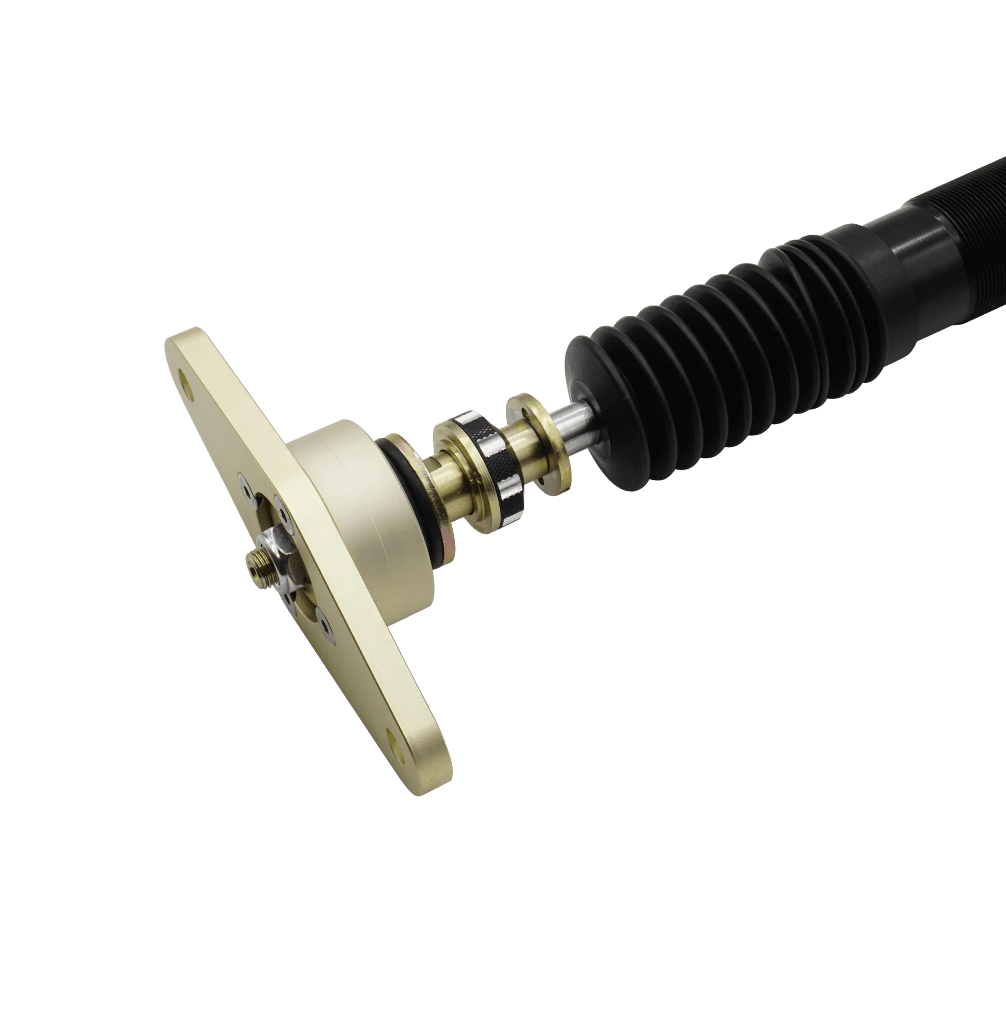 BLOX Racing Plus Series Pro Coilovers - 17-22 Model 3 AWD - Image 8
