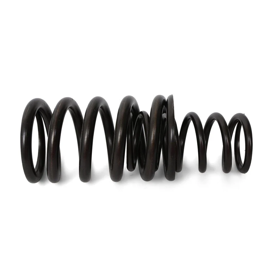 BLOX Racing Valve Springs - F-Series DOHC VTEC - Image 8